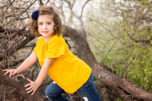 Tree_Climber