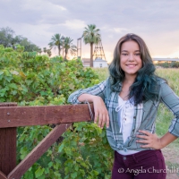 Farm-fields-portrait